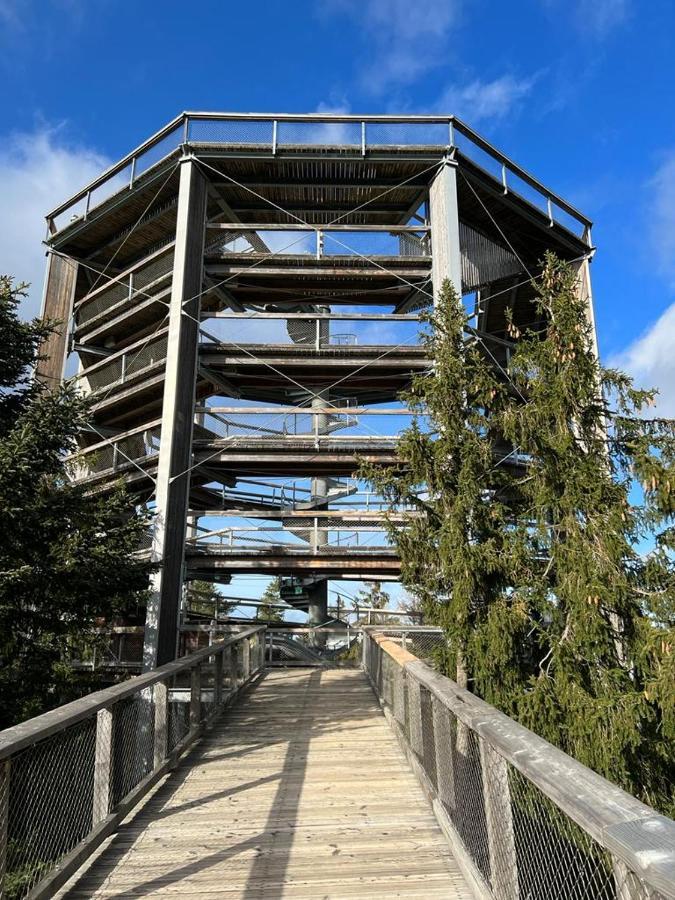 Apartament A121 Molo Lipno S Infrasaunou - Residence Koubek Lipno nad Vltavou Eksteriør billede