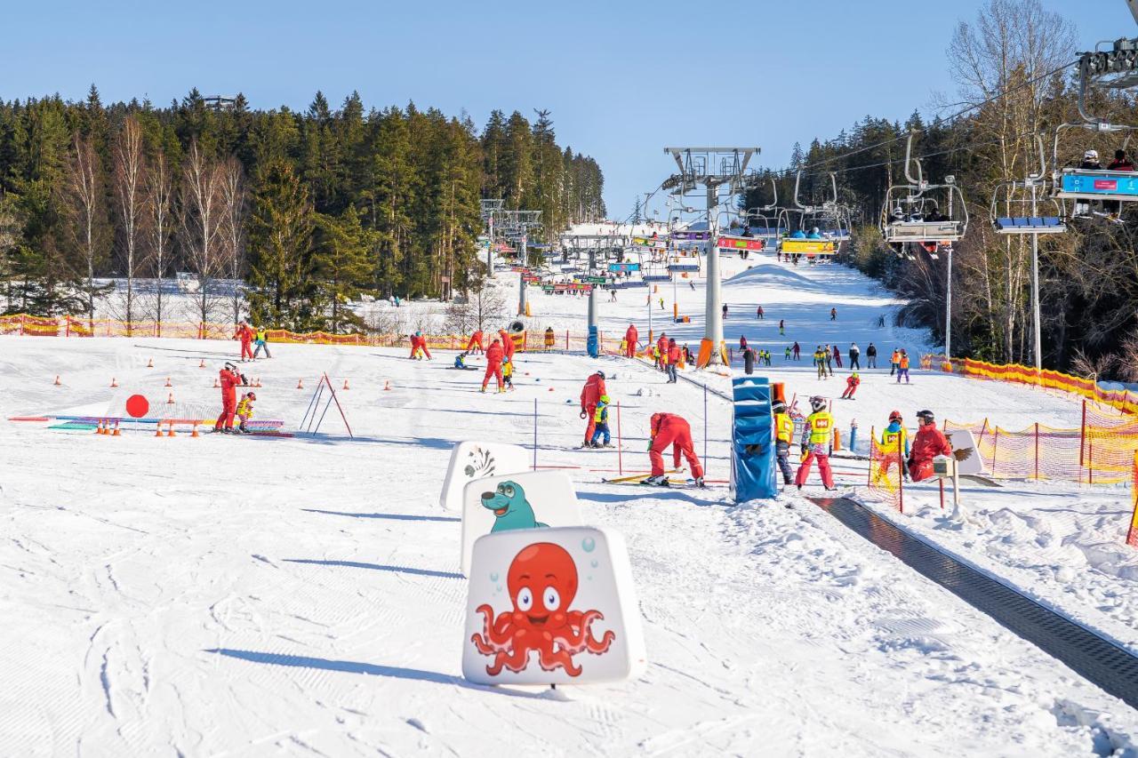 Apartament A121 Molo Lipno S Infrasaunou - Residence Koubek Lipno nad Vltavou Eksteriør billede